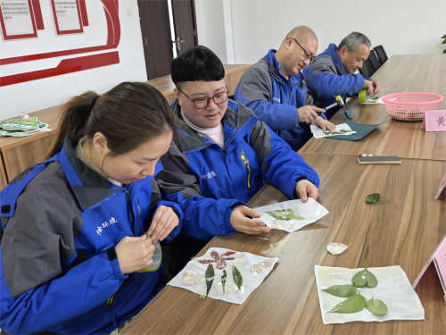 开展“植物拓印”DIY活动现场-2.jpg